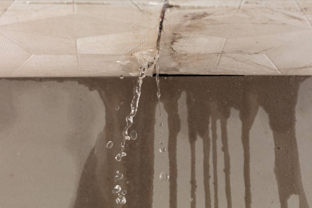 Professional Flood Damage Cleanup technician working in Christmas, FL